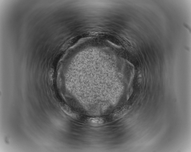 X0000094780275200712071211