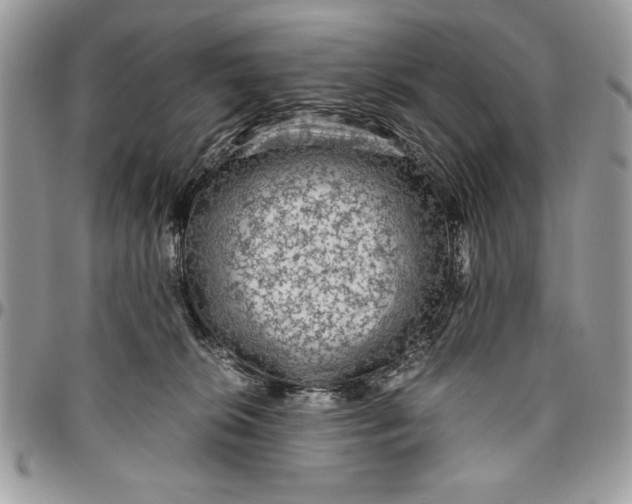 X0000094780276200712071211