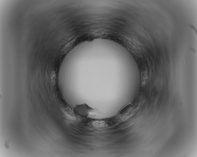 X0000094780279200712071211