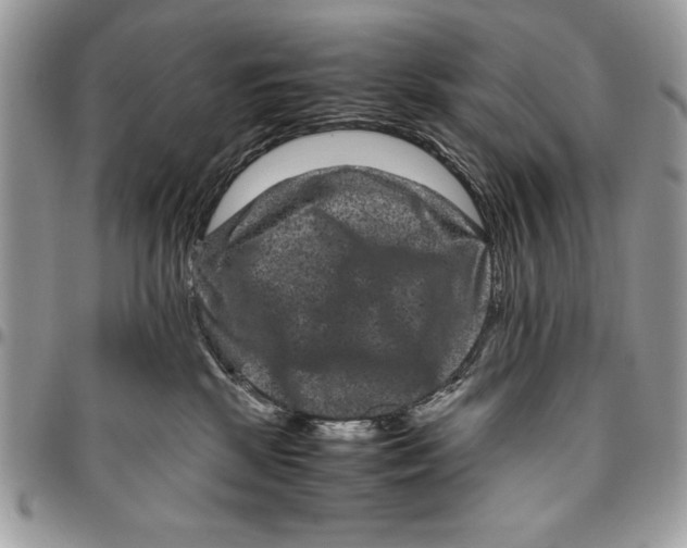 X0000094780281200712071212