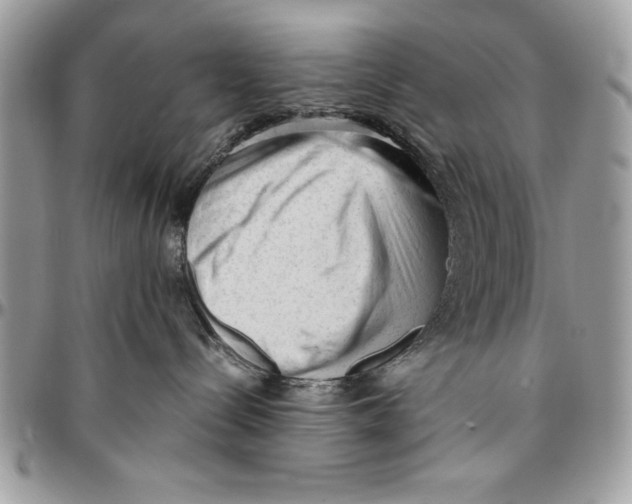 X0000094780288200712071212