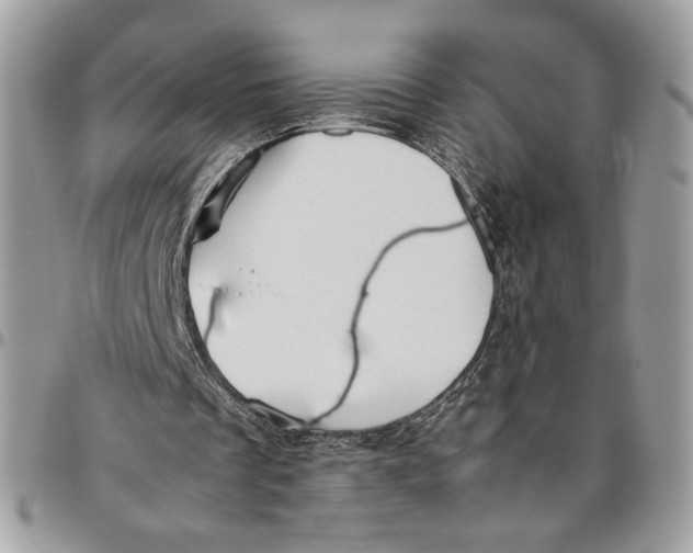 X0000094780289200712071211