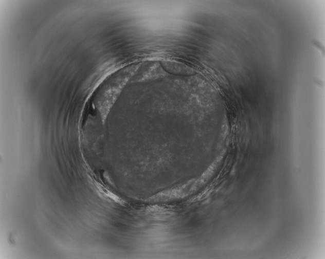 X0000094780290200712071211