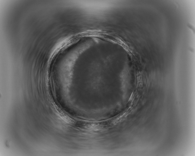 X0000094780293200712071211