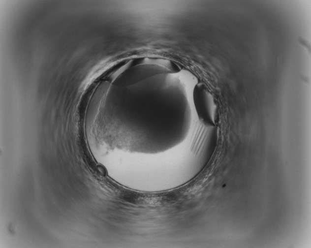 X0000094780295200712071211