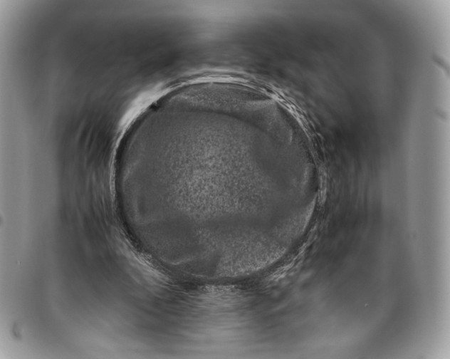 X0000094780296200712071211