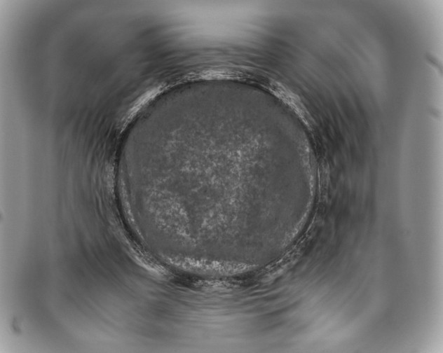 X0000094780297200712071211