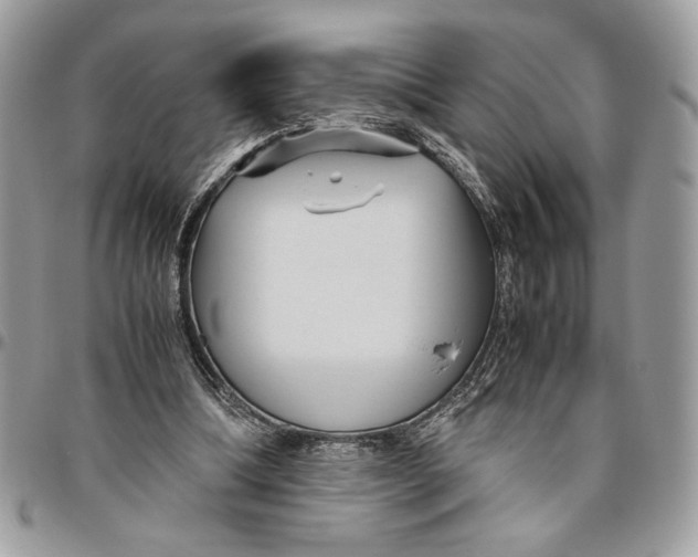 X0000094780298200712071211