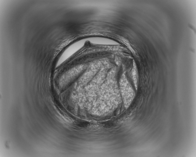 X0000094780299200712071211