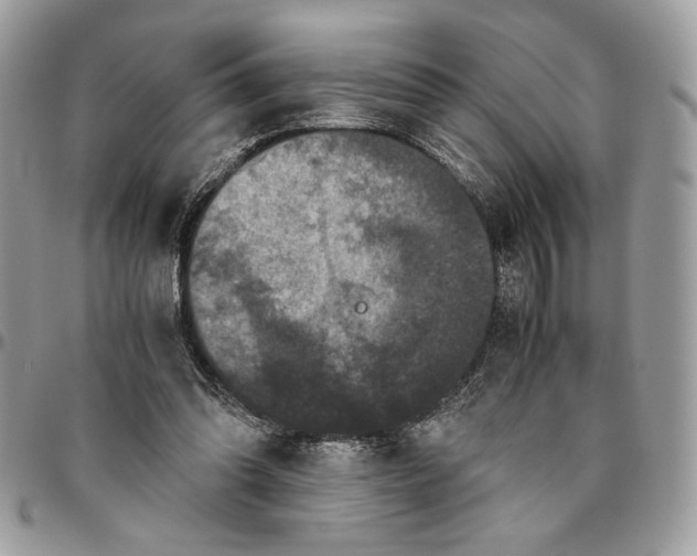 X0000094780302200712071211