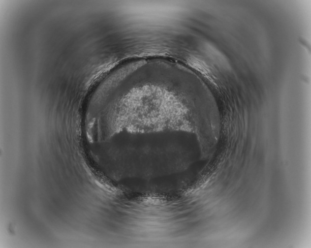 X0000094780303200712071211