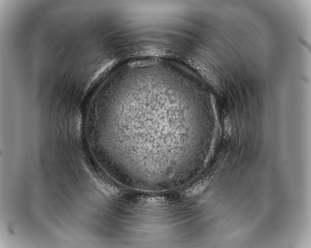 X0000094780304200712071211