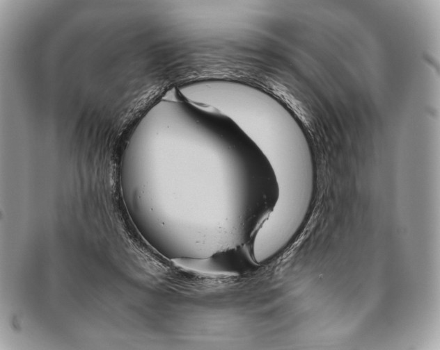 X0000094780305200712071211