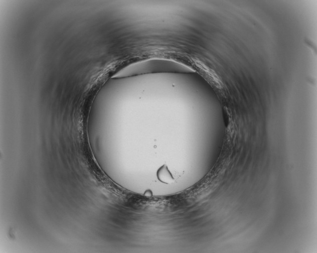 X0000094780306200712071211