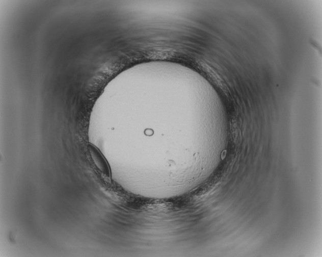 X0000094780307200712071211