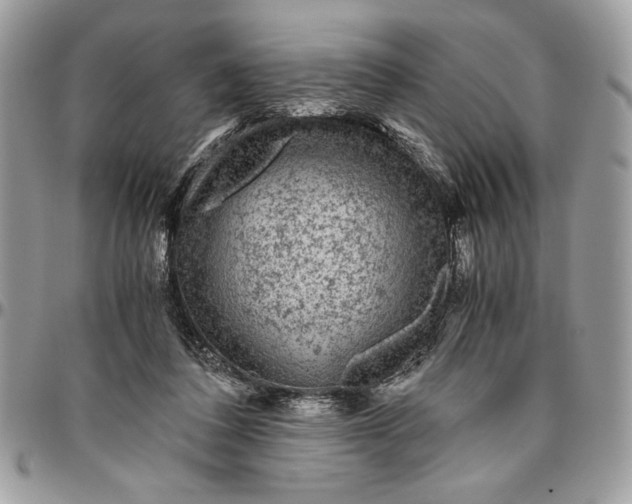 X0000094780308200712071211