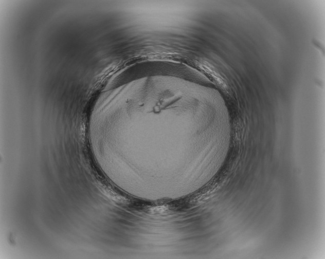 X0000094780309200712071211