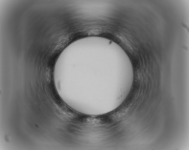 X0000094780311200712071211