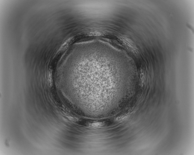 X0000094780312200712071211