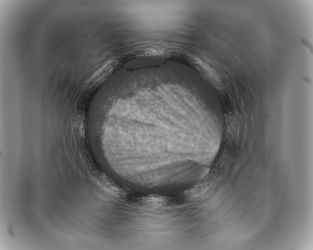 X0000094780313200712071211