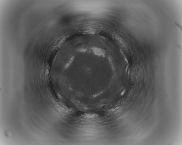 X0000094780314200712071211