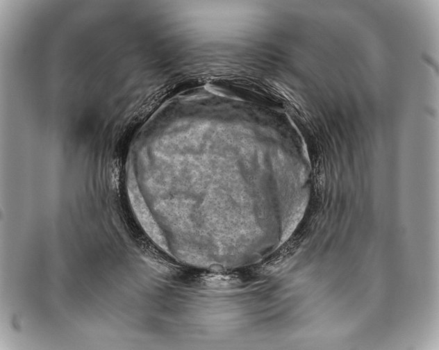 X0000094780315200712071211