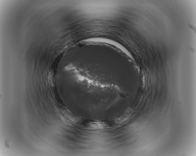 X0000094780316200712071211