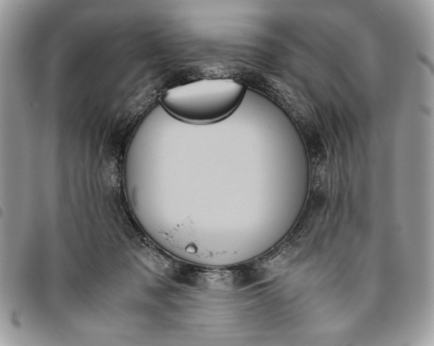 X0000094780317200712071211