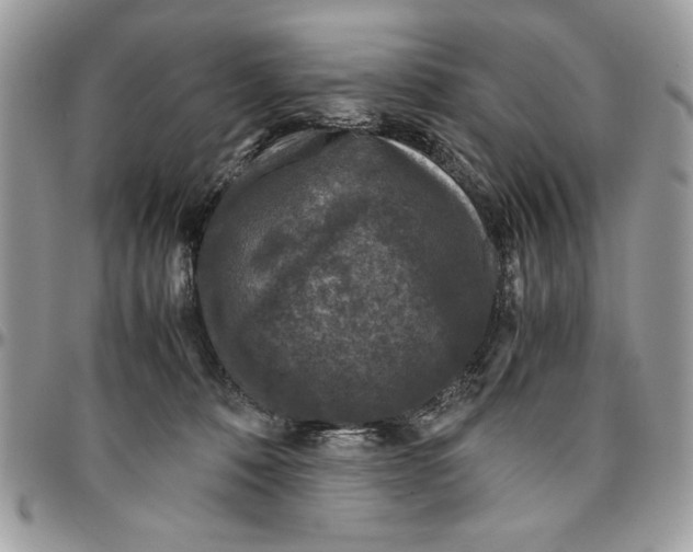 X0000094780320200712071211