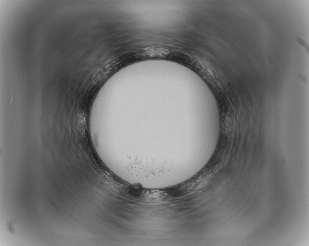 X0000094780321200712071211