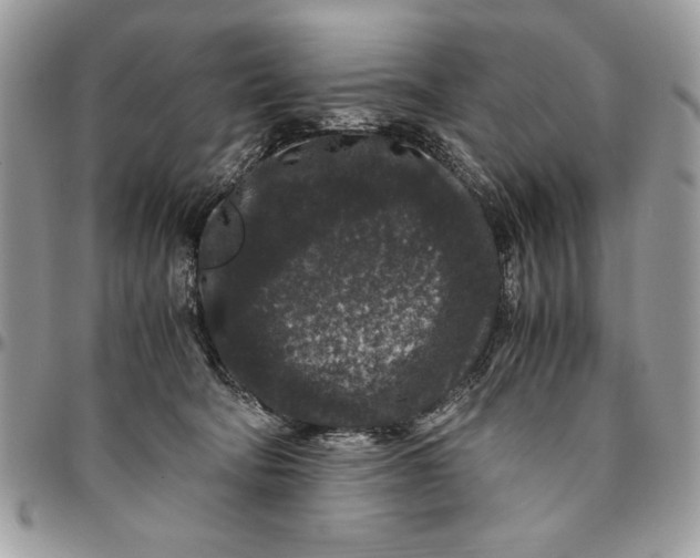 X0000094780322200712071211