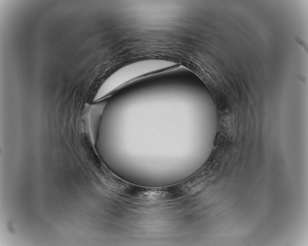 X0000094780323200712071210