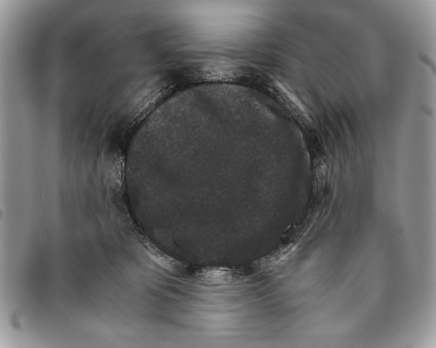 X0000094780325200712071210