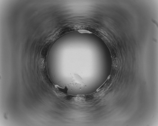 X0000094780327200712071210