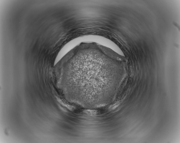 X0000094780328200712071210