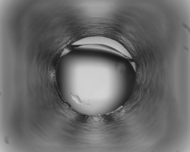 X0000094780329200712071210