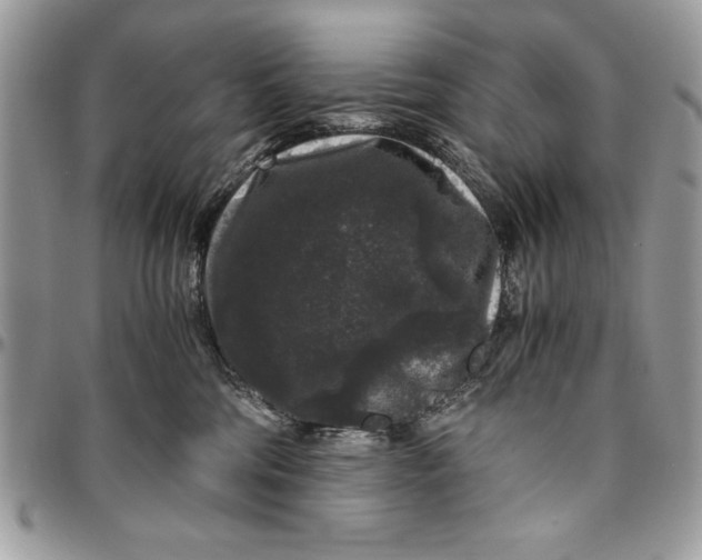 X0000094780330200712071210