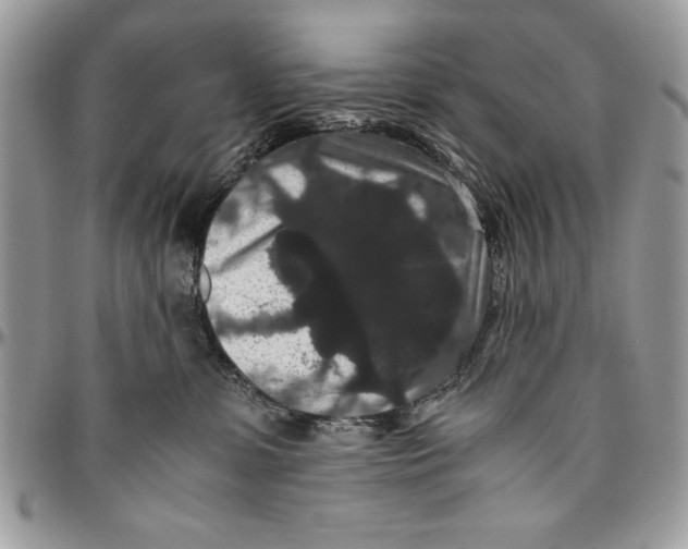 X0000094780331200712071210