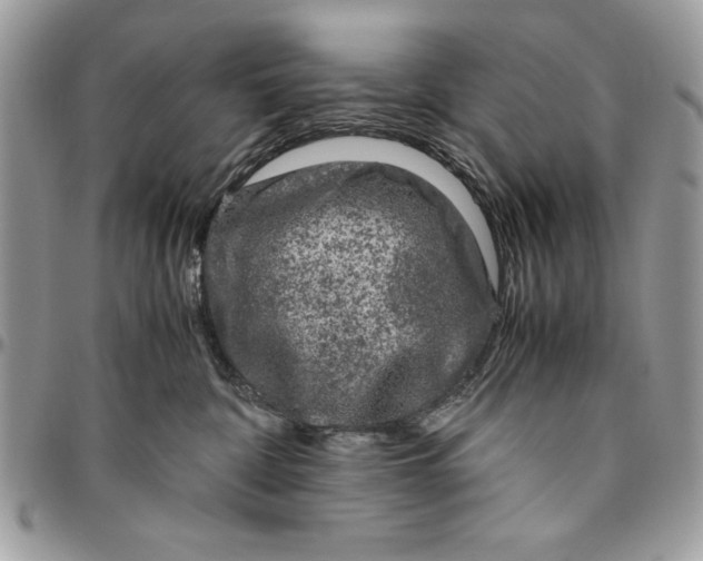 X0000094780332200712071210