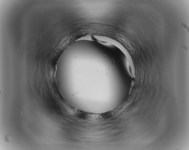 X0000094780333200712071210