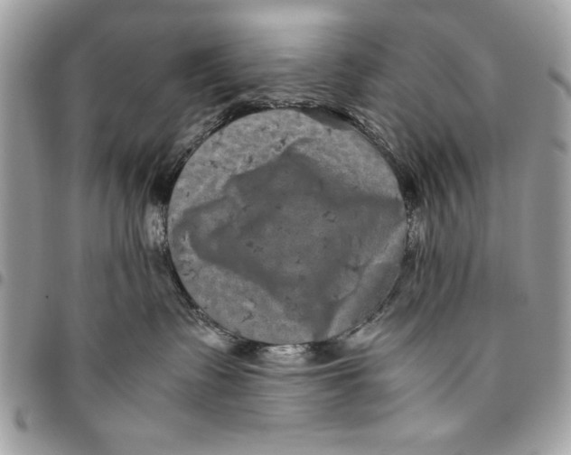 X0000094780335200712071210