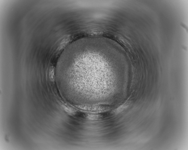 X0000094780336200712071210