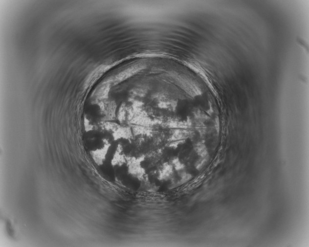 X0000094780337200712071209