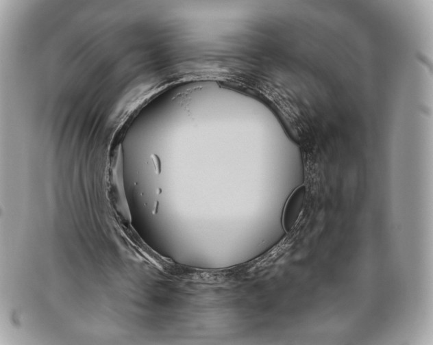 X0000094780338200712071209