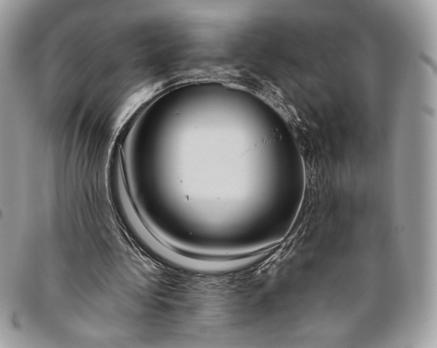 X0000094780340200712071210