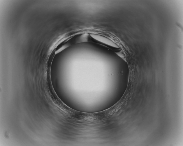 X0000094780344200712071210