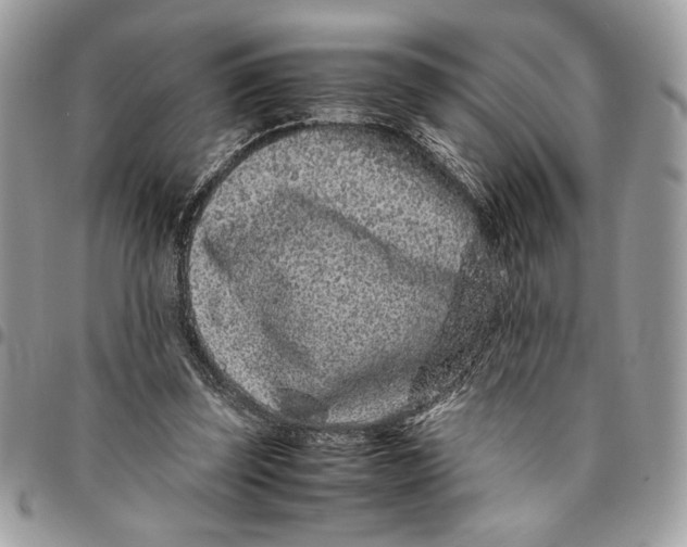 X0000094780347200712071210