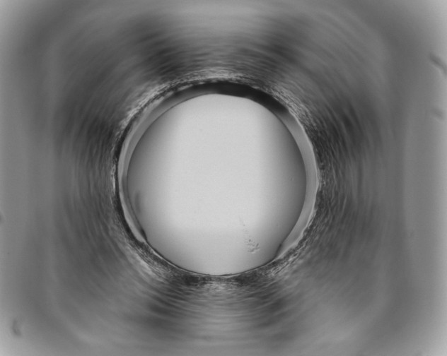 X0000094780350200712071210