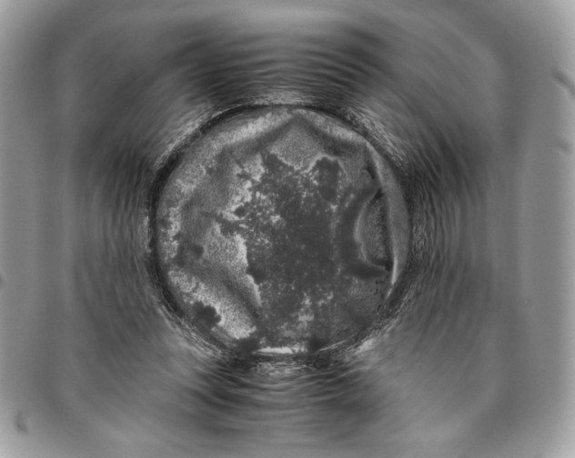 X0000094780351200712071210