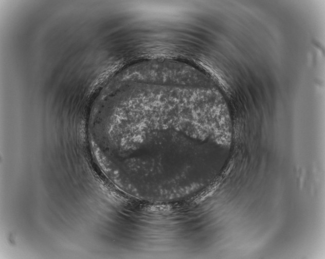 X0000094780353200712071210